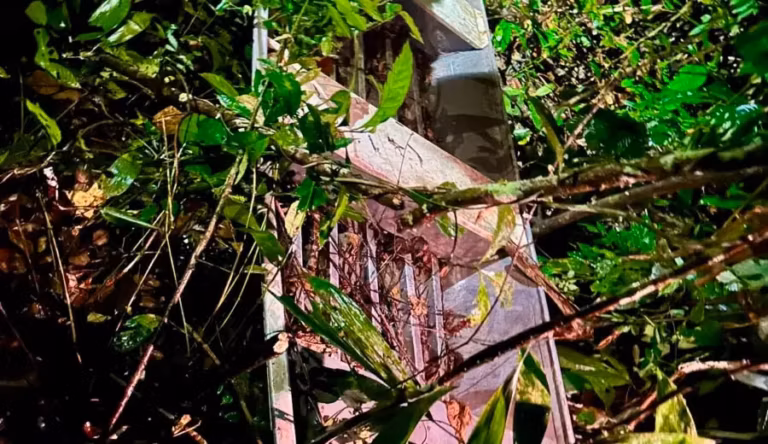 A embarcação foi localizada escondida em uma área de mata