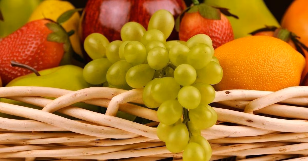 Brasil faz primeiros embarques de uvas com tarifa zero à União Europeia