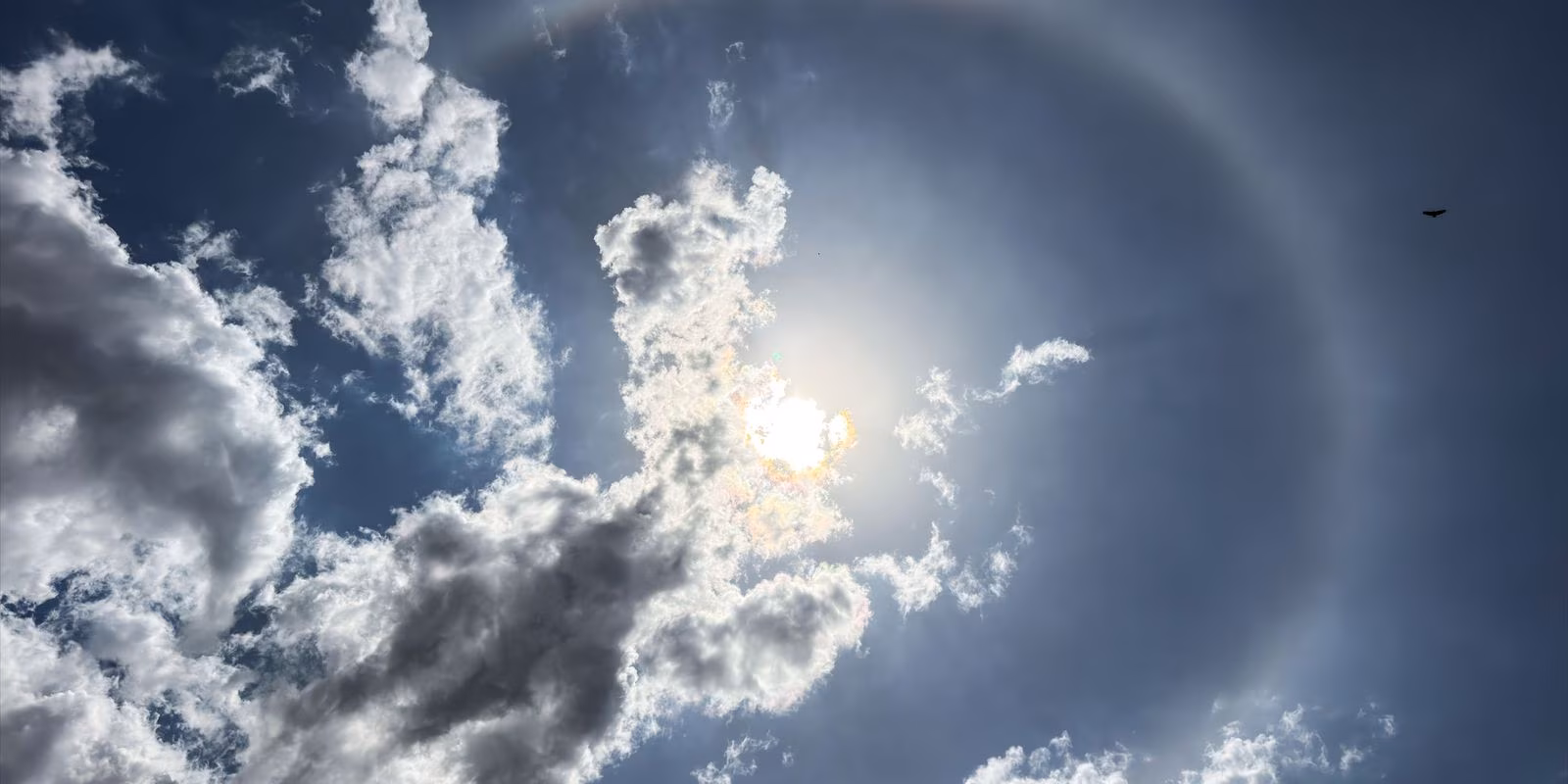 Beleza nos céus, halo solar não é sinal de chuva, diz especialista