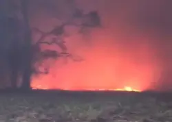 Incêndio de grandes proporções atinge área de mata em bairro de Rio Branco