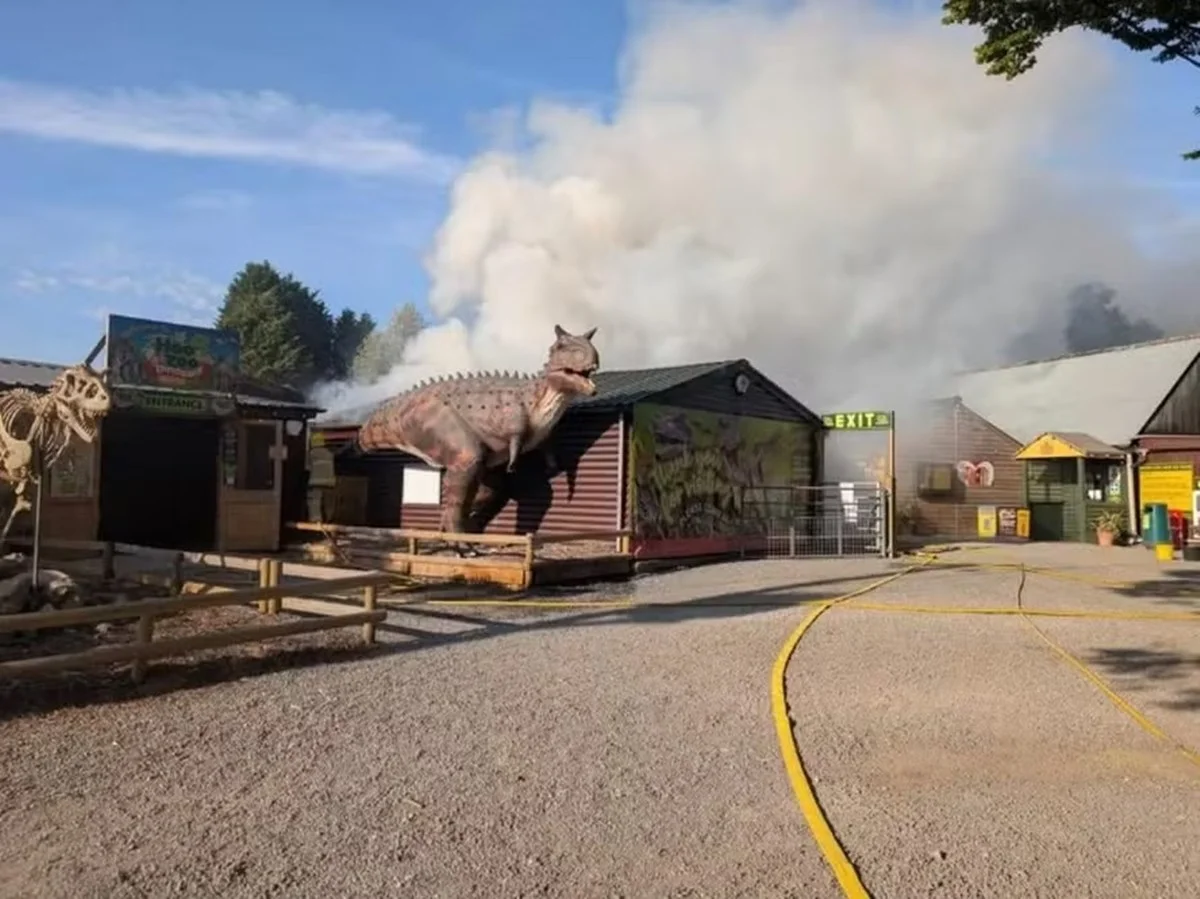 Incêndio em zoológico destrói escritório e deixa animais mortos