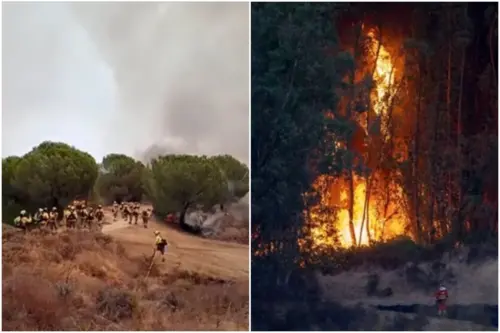 Incêndio florestal atinge 4 mil hectares na Espanha e obriga evacuação de moradores