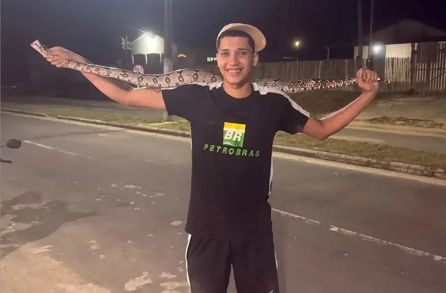 Morador captura jiboia de quase dois metros que atravessa rua no Acre