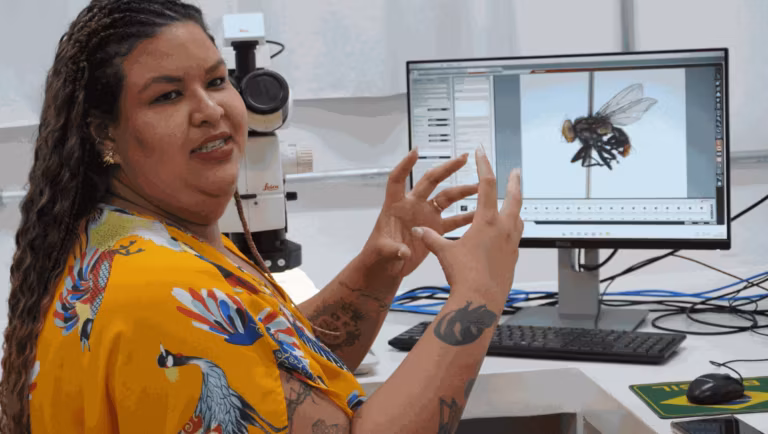 No laboratório, a pesquisadora Caroline de Souza explica o processo de análise do estudo que revelou seis novas espécies de moscas do gênero Dexosarcophaga