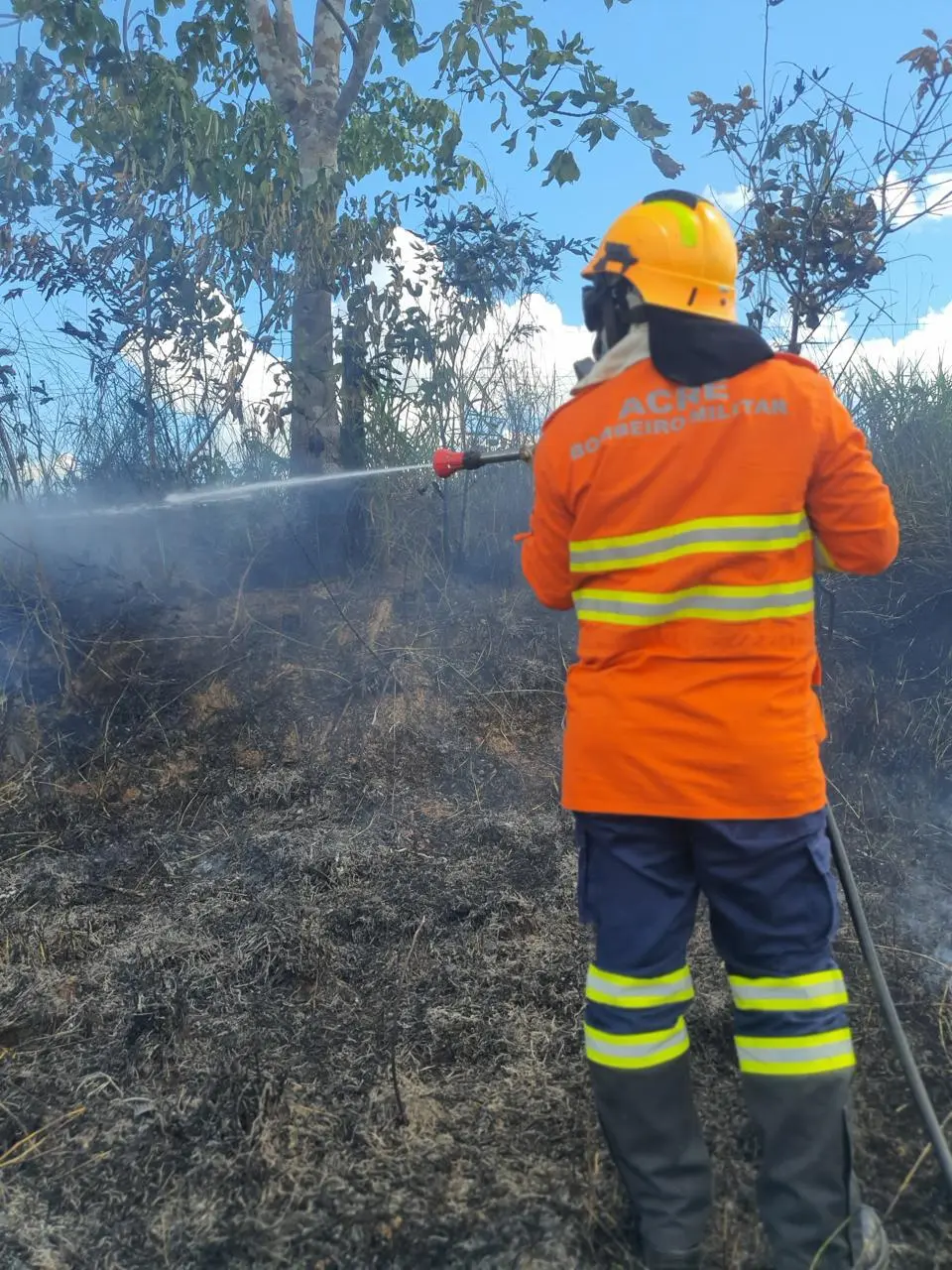 395 correspondem a ocorrências de incêndio em vegetação