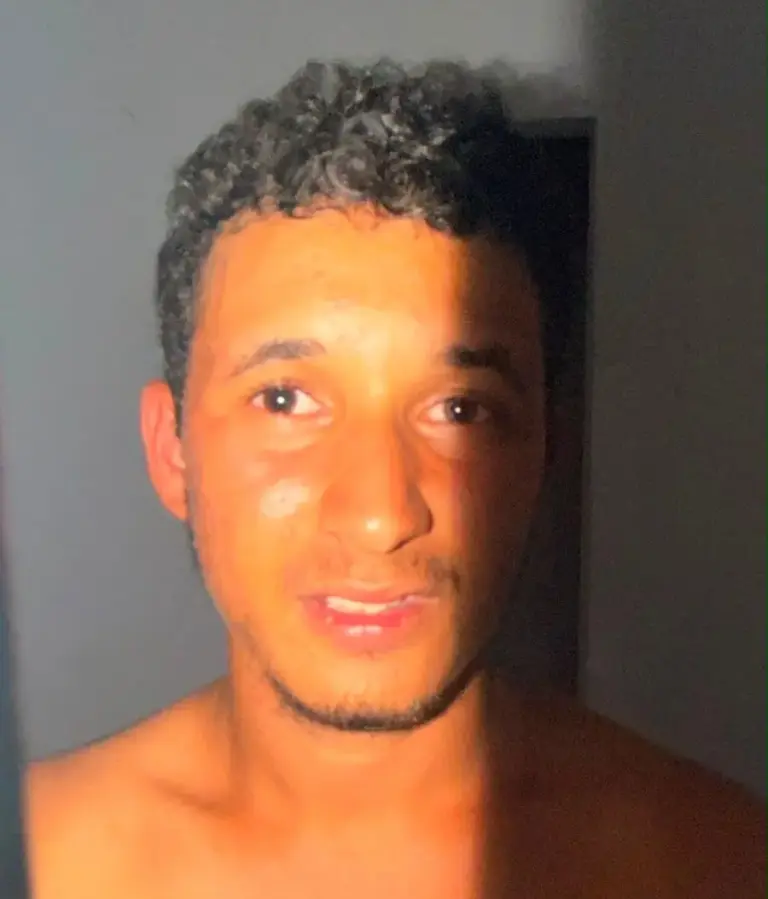 Durante a abordagem, segundo a polícia, ele confessou ter provocado os incêndios.