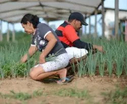 Produtores rurais do Acre terão capacitação para ampliar negócios