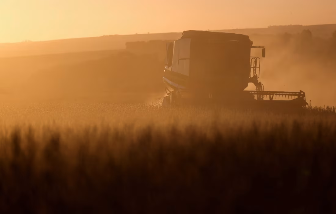 Como o Brasil vai semear soja  — e colher uma crise mundial de diesel