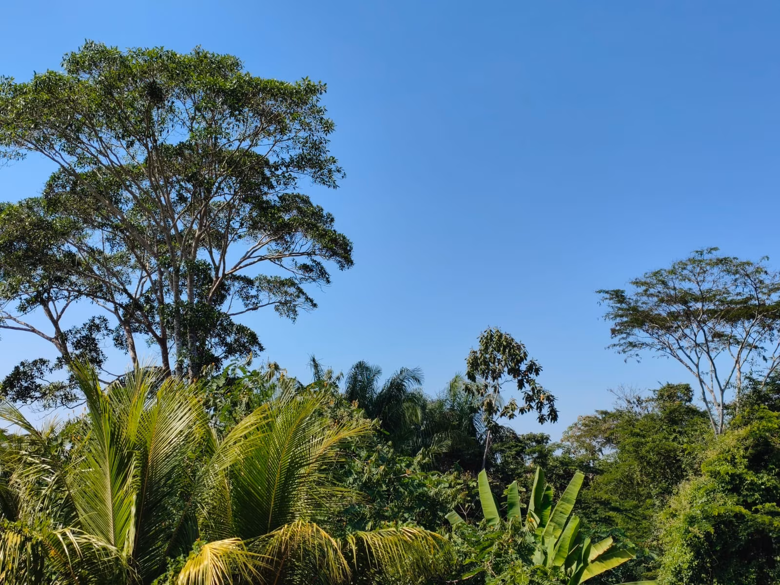 Domingo terá calor de até 37°C e risco de temporais no Acre