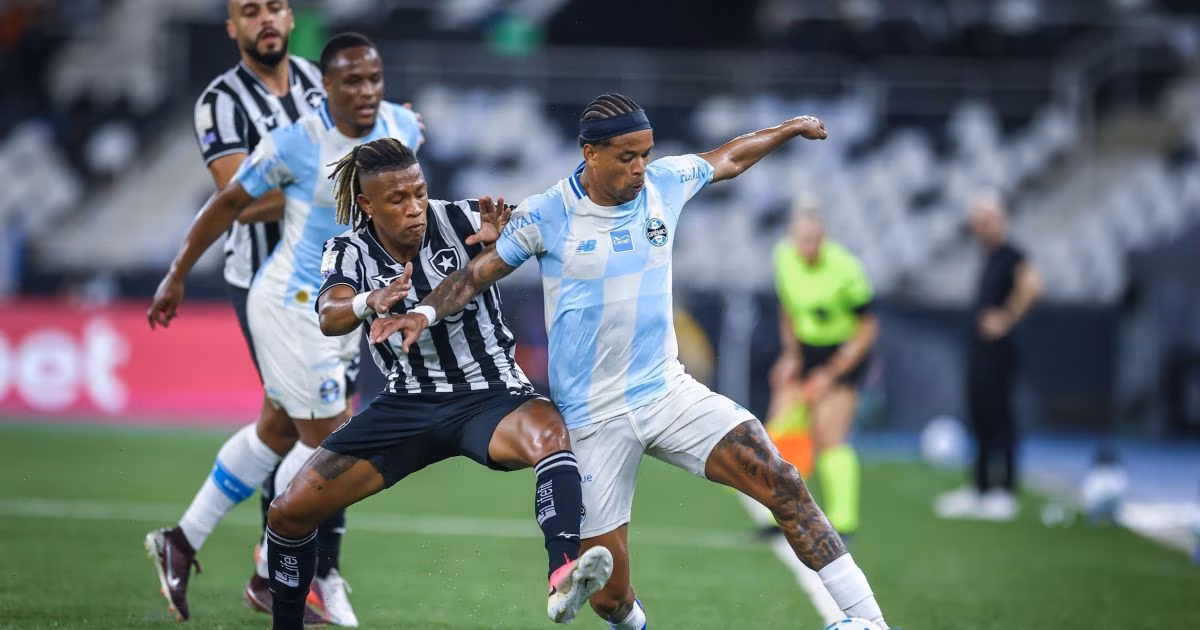 Botafogo 3 x 2 Grêmio: veja os melhores momentos pelo Brasileirão