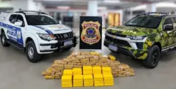 PF intercepta carro e apreende quase 250 kg de skunk e cocaína no Acre