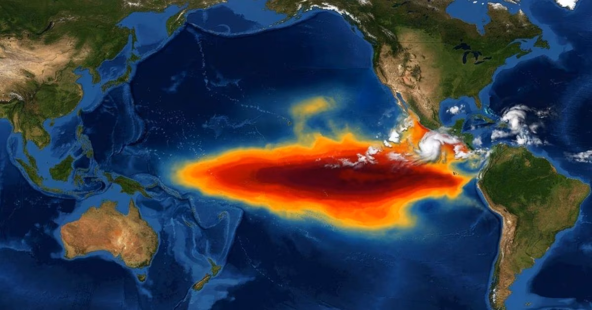 El Niño pode afetar oferta e cotações de soja, diz economista
