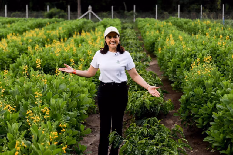 A estratégia parte do potencial agropecuário do Acre e de sua posição na Amazônia