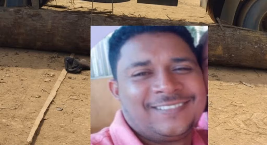 Motorista morre após ser atingido por tora de madeira durante descarga