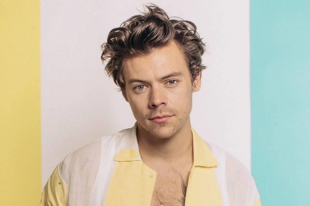 Ingresso de show de Harry Styles em NY é criticado por arte controversa