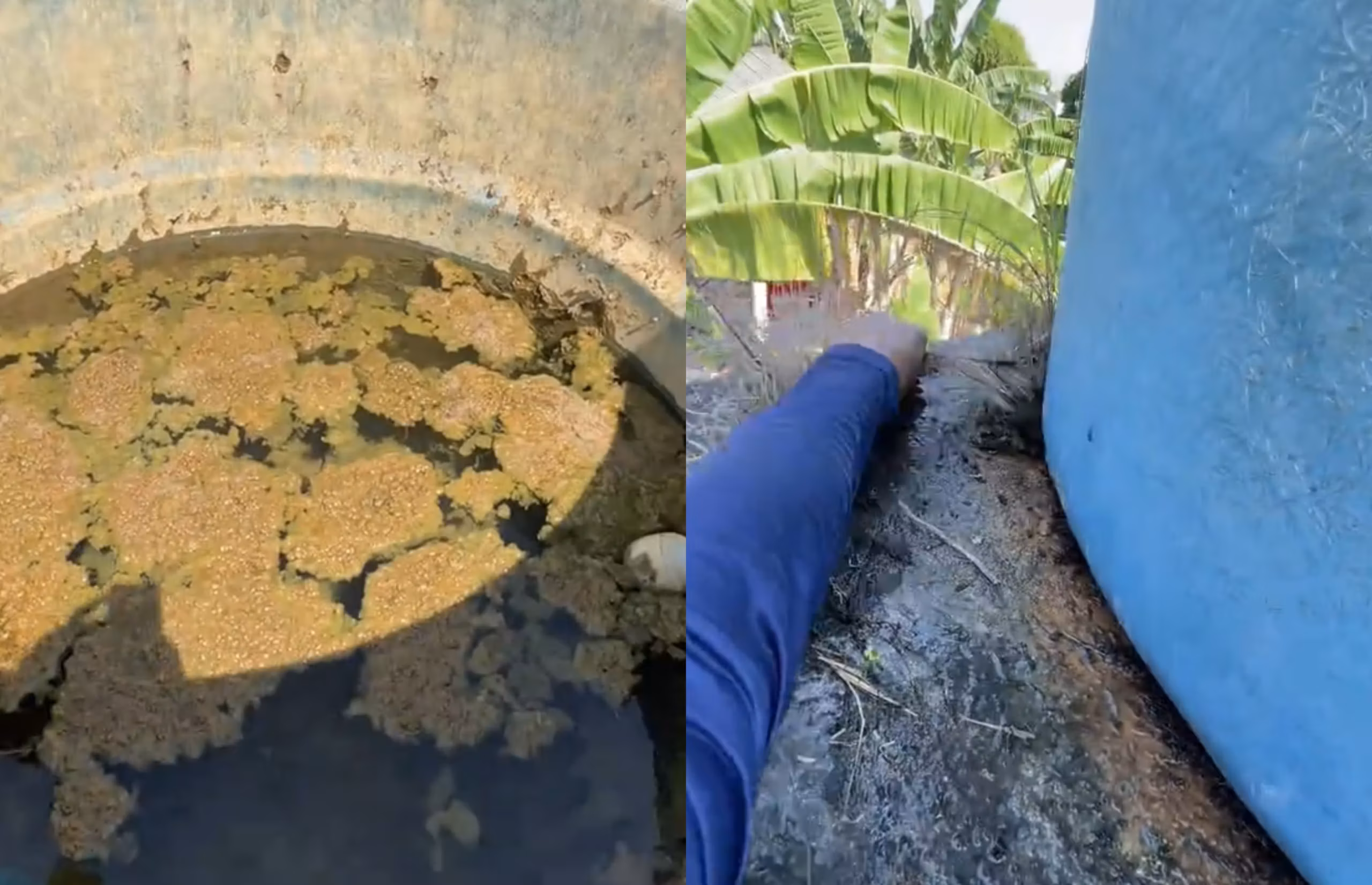 Vídeo mostra situação de caixa d’água no Acre e viraliza: ‘Parece esgoto’