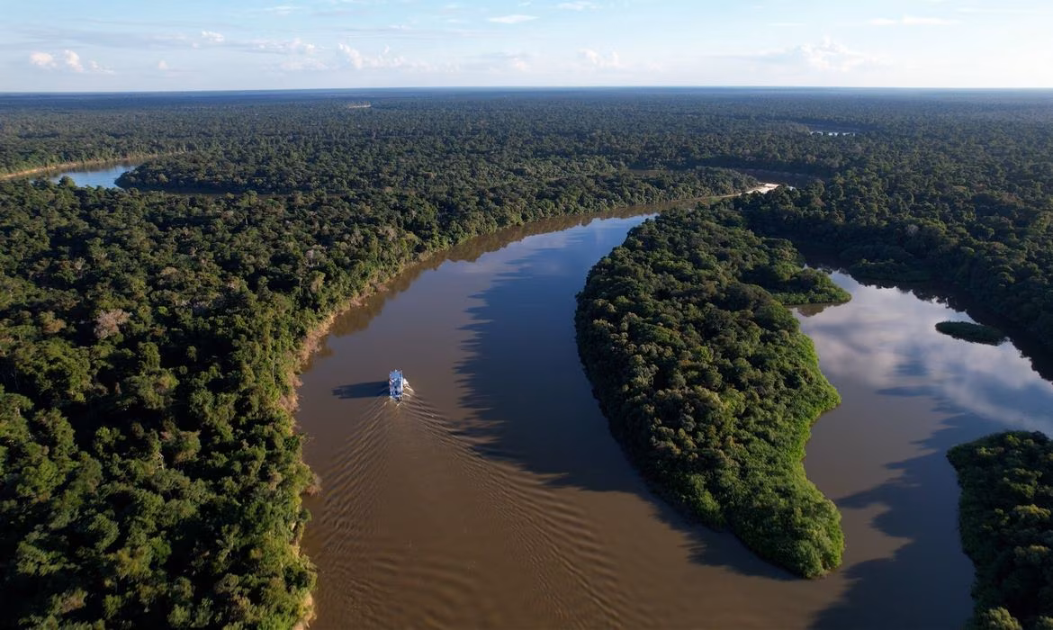 BNDES libera R$ 200 milhões para Mombak para restauração de florestas na Amazônia