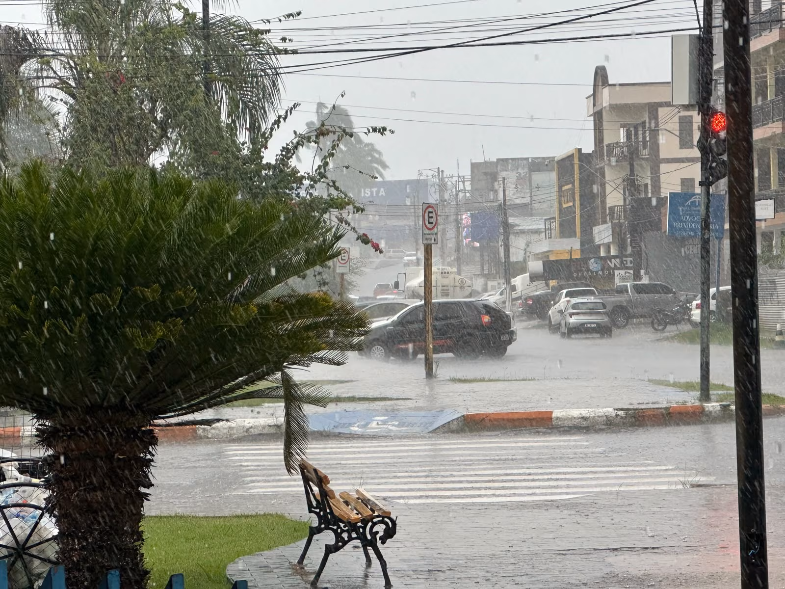 Chuva forte com ventos provocam queda de árvore e destelhamento em Cruzeiro do Sul