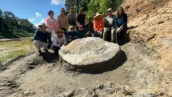 Como pesquisadores chegaram ao fóssil de tartaruga gigante no Acre