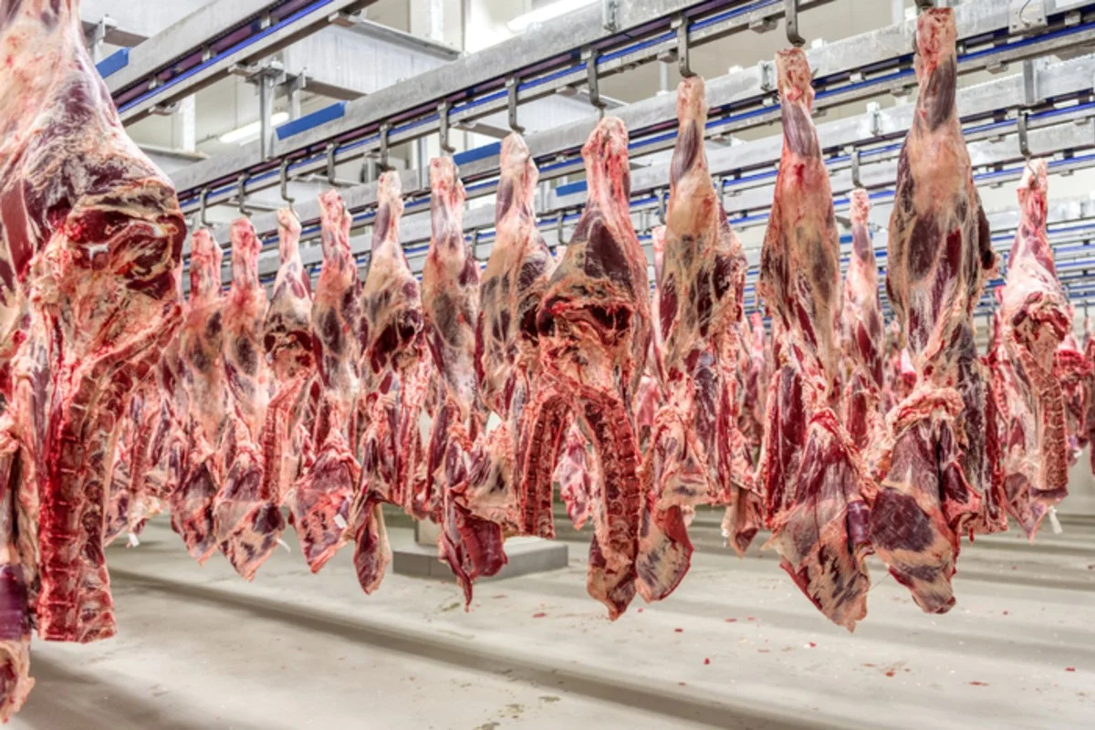 União Europeia suspende importação de carnes, ovos e mel do Brasil