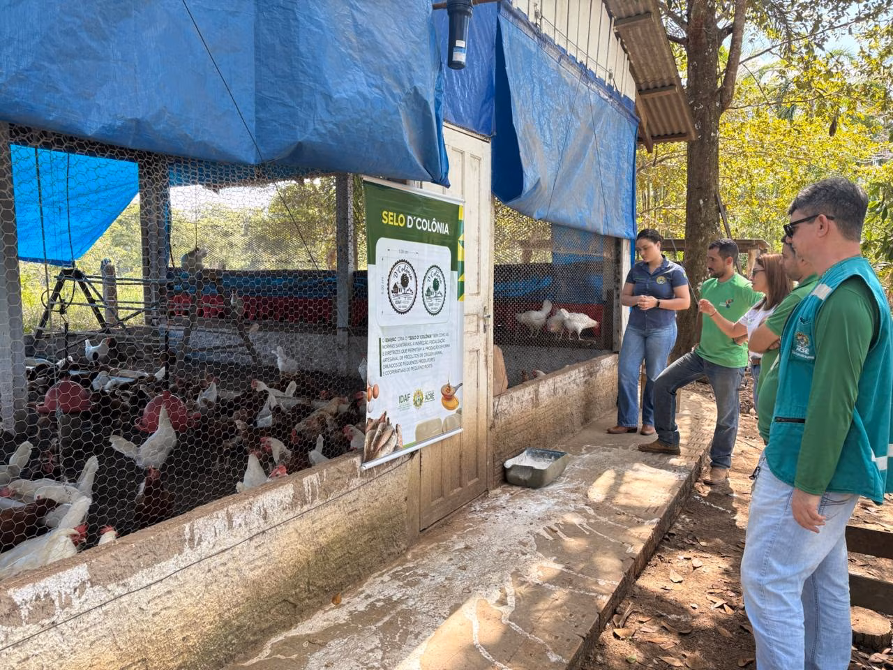 Produção de ovos caipiras em Acrelândia recebe o Selo D’Colônia do Idaf