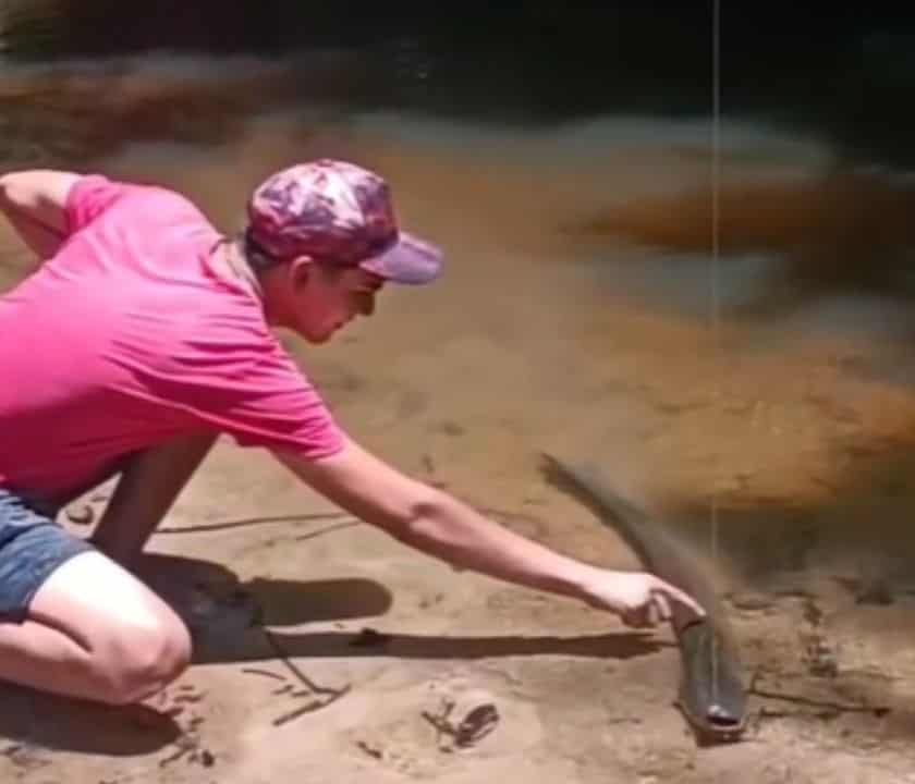 Morador testa peixe-elétrico após promessa e acaba levando choque