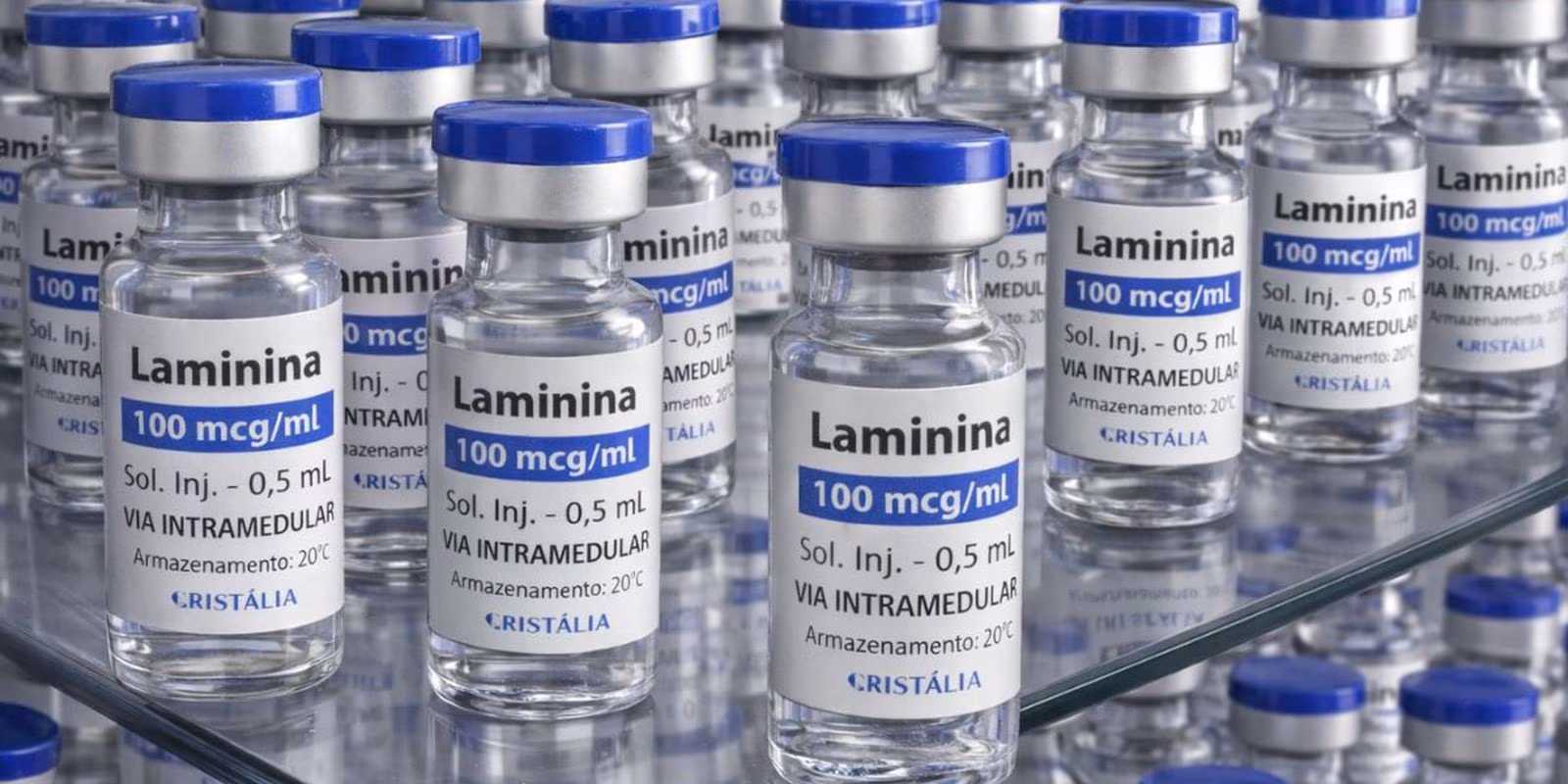 Testes clínicos fase 1 da polilaminina começam este mês