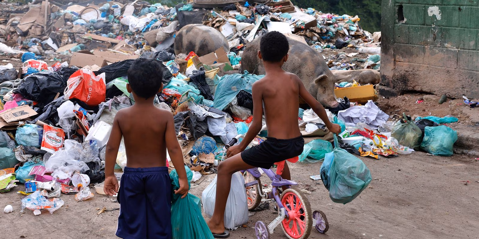Senado aprova direito prioritário da criança a meio ambiente saudável