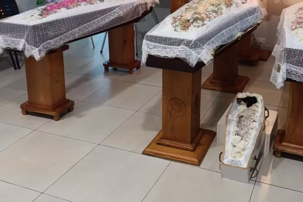 Pai, duas filhas e cachorrinha são velados lado a lado após acidente